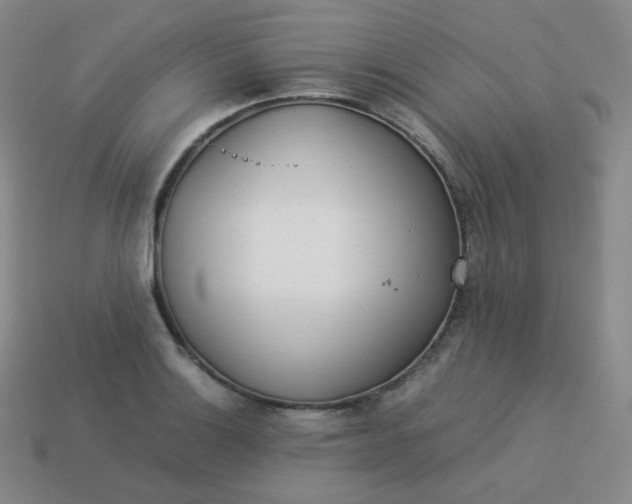 X0000113911132200910081844