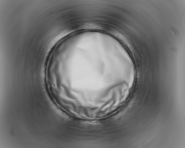 X0000113911133200910081844