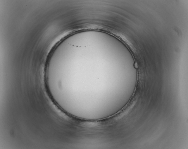 X0000113911134200910081844