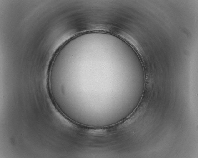 X0000113911135200910081844