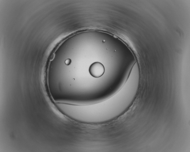 X0000113911136200910081844