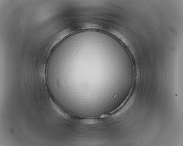 X0000113911137200910081844