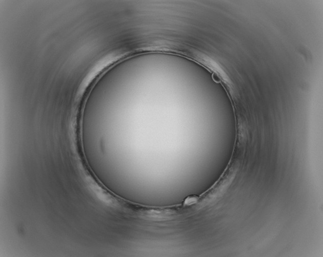 X0000113911138200910081844