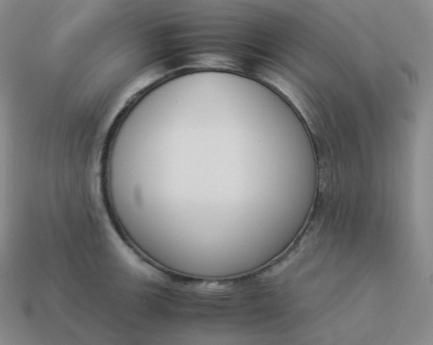 X0000113911139200910081844