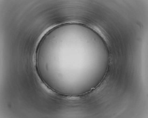 X0000113911140200910081844