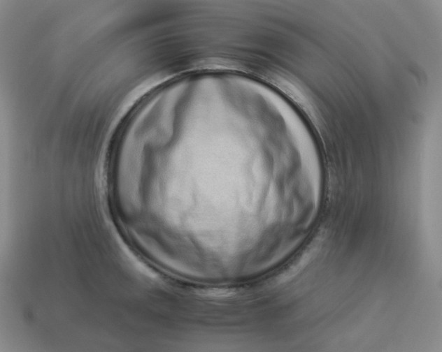 X0000113911141200910081844