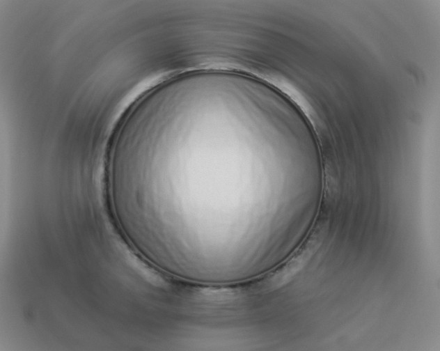 X0000113911142200910081844