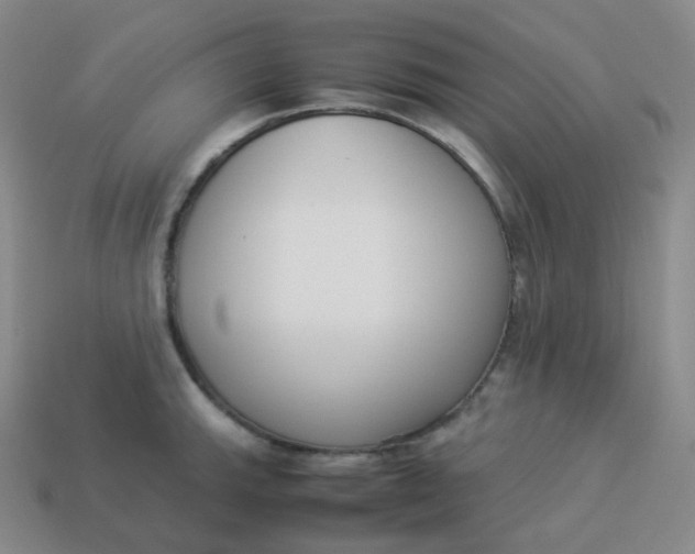 X0000113911143200910081844