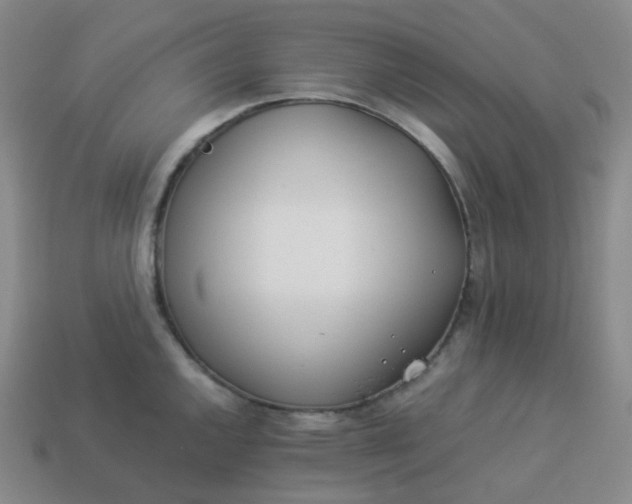 X0000113911144200910081844