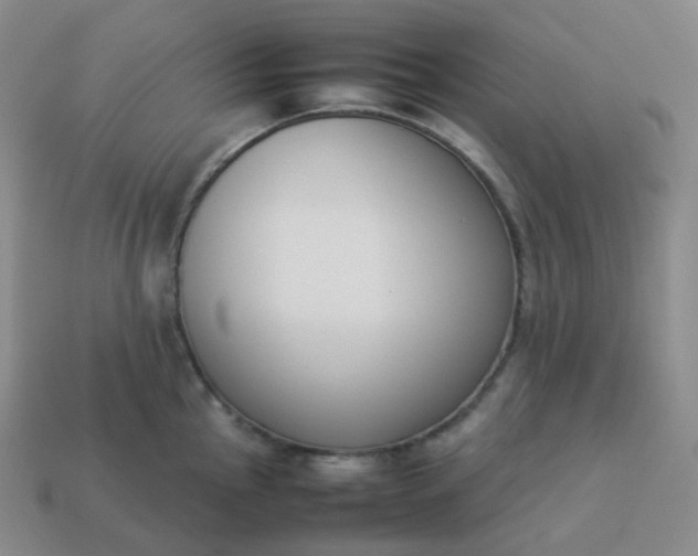 X0000113911145200910081844