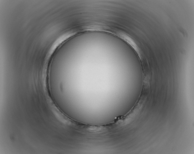 X0000113911146200910081844