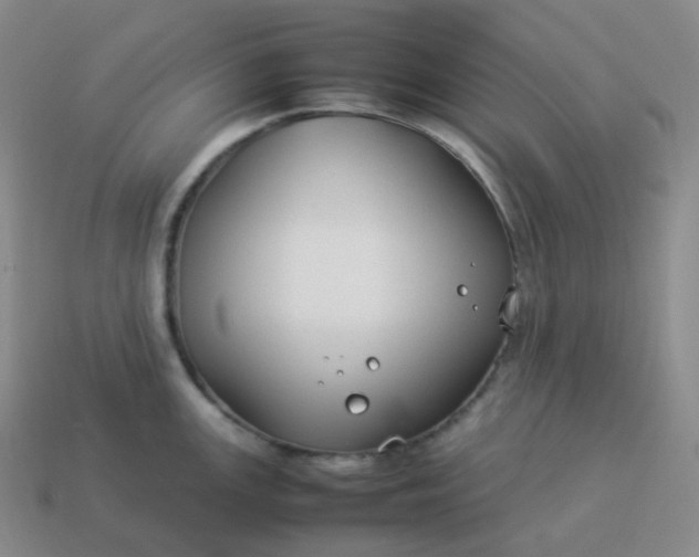 X0000113911147200910081844