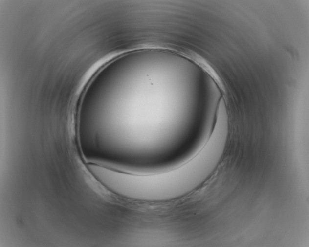 X0000113911148200910081844