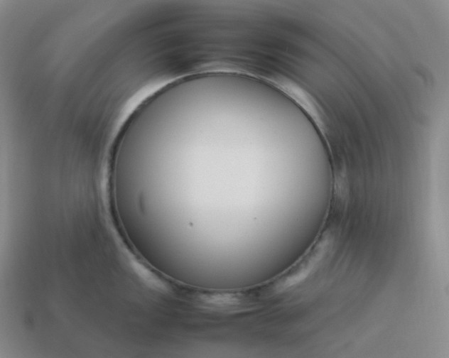 X0000113911149200910081844