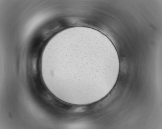 X0000113911150200910081844