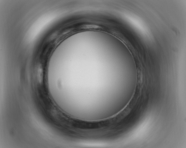 X0000113911151200910081844