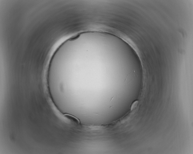 X0000113911152200910081844