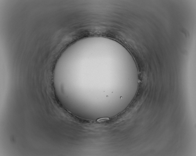 X0000113911153200910081844