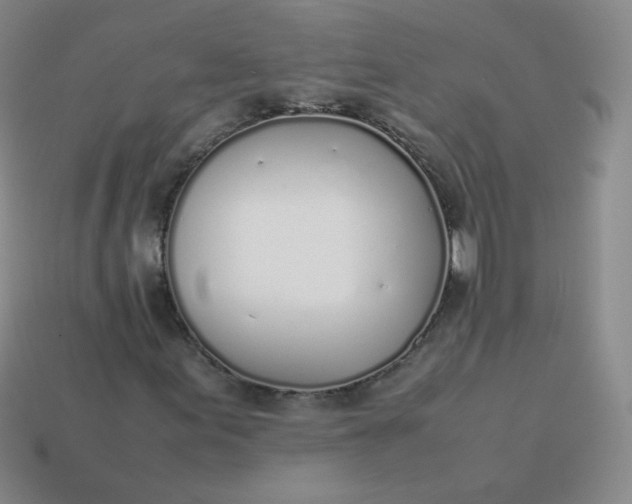 X0000113911155200910081844