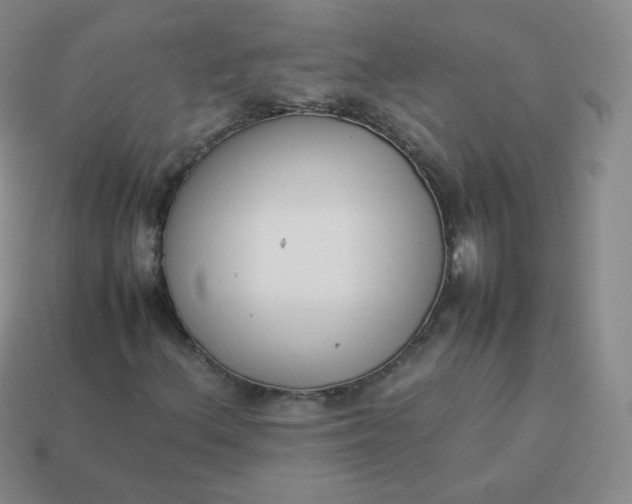 X0000113911156200910081844