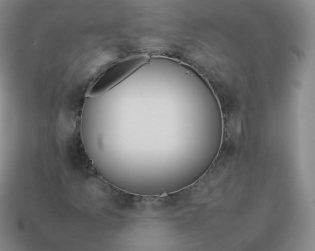 X0000113911157200910081844