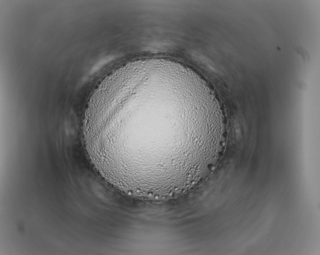 X0000113911158200910081844