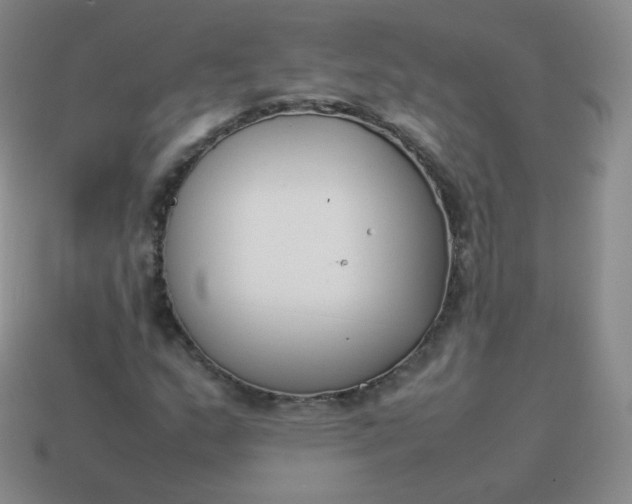 X0000113911159200910081844