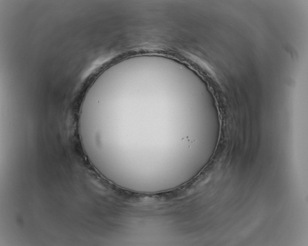 X0000113911160200910081844