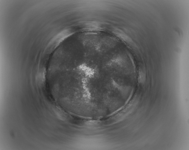 X0000113911161200910081844