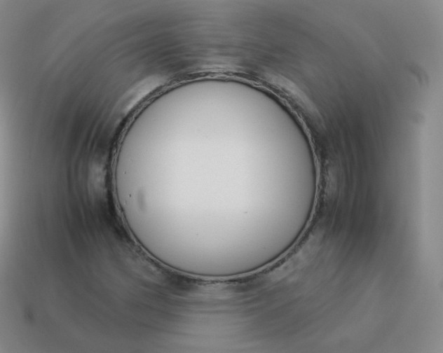 X0000113911162200910081844