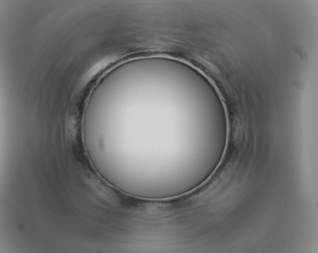 X0000113911163200910081844