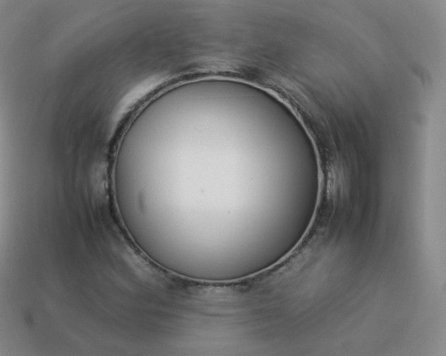 X0000113911164200910081844