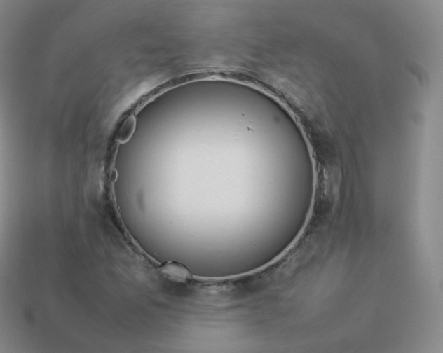 X0000113911165200910081844