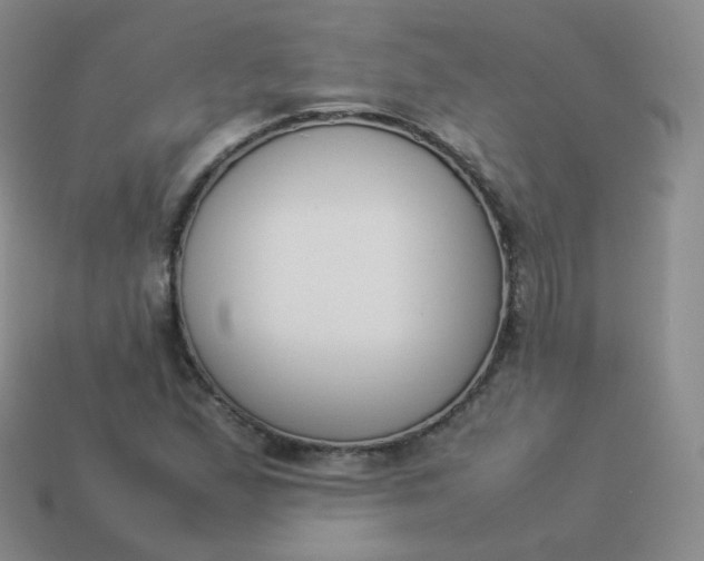 X0000113911167200910081844