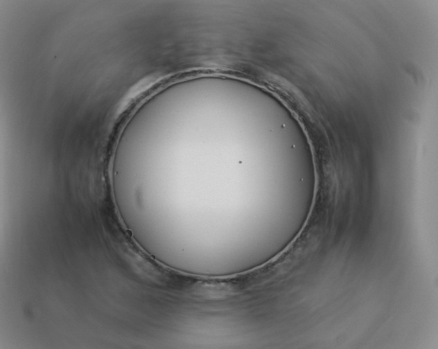 X0000113911168200910081844