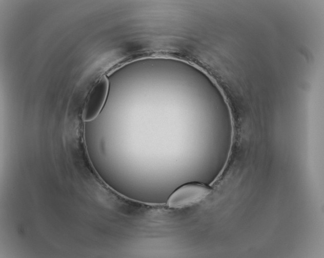 X0000113911169200910081844