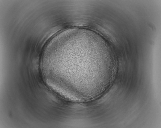 X0000113911170200910081844