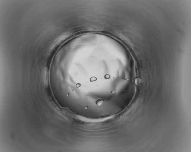 X0000113911171200910081844