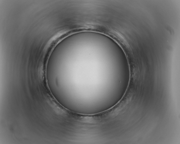 X0000113911172200910081844