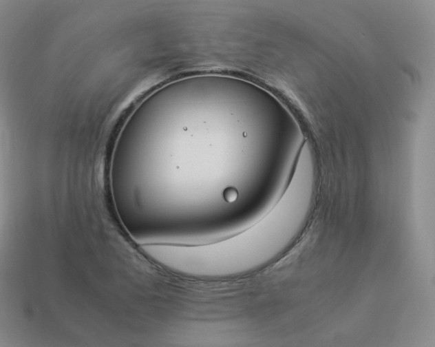 X0000113911173200910081843