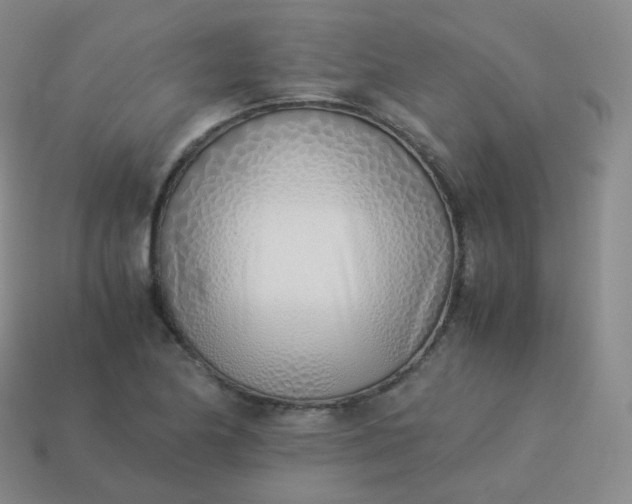 X0000113911174200910081843