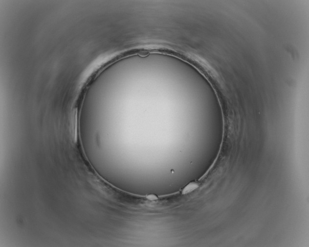 X0000113911175200910081843