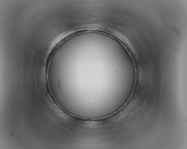 X0000113911176200910081843