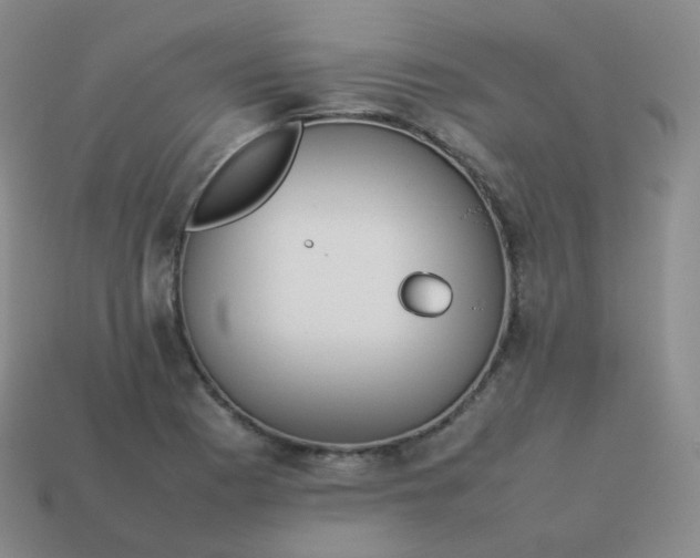 X0000113911177200910081843