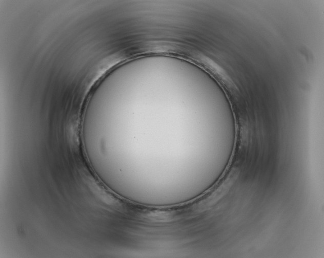 X0000113911178200910081843