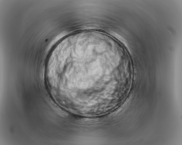 X0000113911179200910081843