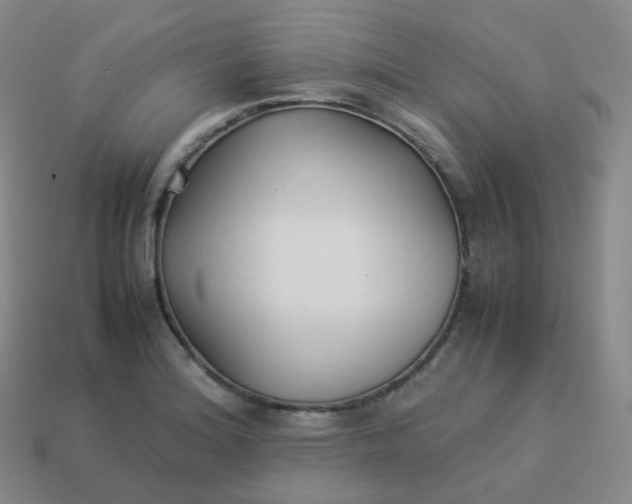 X0000113911180200910081843