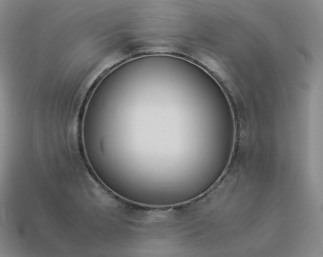 X0000113911181200910081843