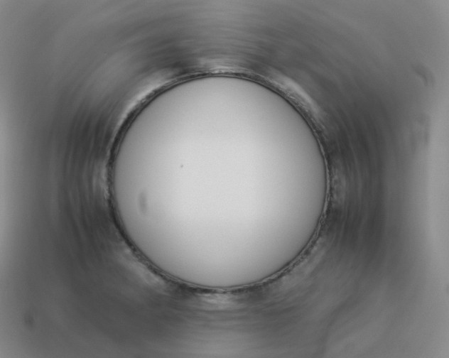 X0000113911182200910081843