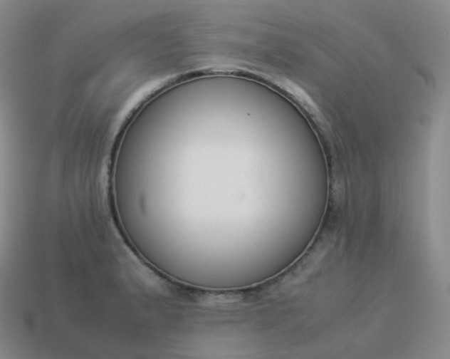 X0000113911183200910081843